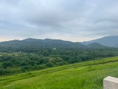 -清溪森林公园