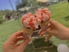 -TIPPI营地 房车主题·露营烧烤团建轰趴(天安假日店)