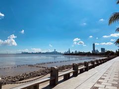 -深圳湾公园(南山区)
