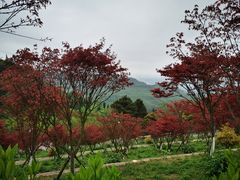 -綦江古剑山