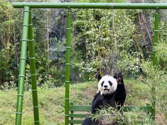 -杭州野生动物世界