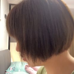 -蚂蚁造型俱乐部