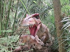 -呀路古热带植物园