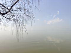 -呈贡滇池生态湿地公园