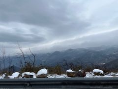 -武陵山森林公园