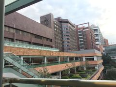 -香港大学