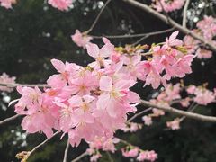 -乌山风景区
