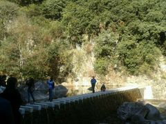 android_upload_pic-四明山国家森林公园