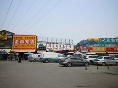 -中环花鸟鱼虫市场
