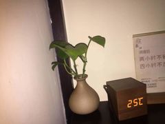 -沐善人家中医·推拿·理疗·三伏灸(新洲店)