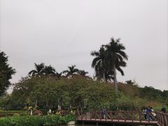 -海珠湖公园