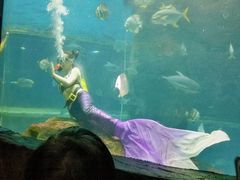 -北海·海洋之窗