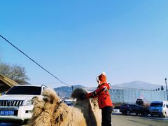 -东北亚滑雪场