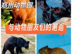 -郑州市动物园