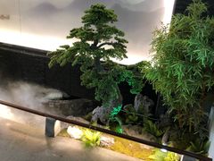 -鸽子侯·家宴·平价海鲜(市图书馆店)