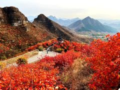 -狼牙山风景区