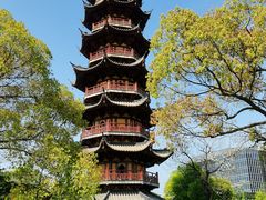 -龙华素斋(龙华路店)