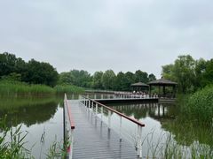 -同里国家湿地公园