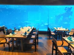 -海棠湾洲际-涛·海底餐厅·美人鱼·自助餐·海底隧道