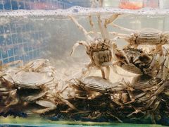 -芝小官毛肚火锅海鲜自助(淮安清江浦区新亚店)