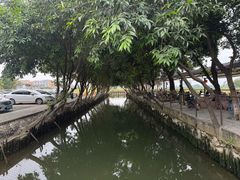 -伟记牛蹄(道滘店)