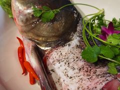 -百味地锅鸡(二店·财校分店)