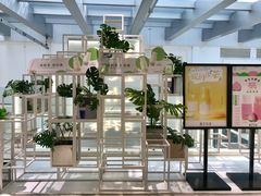 大堂-叶子与茶(苏宁广场店)