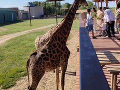 -鄂尔多斯野生动物园