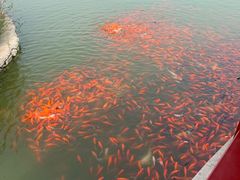 -西海子公园