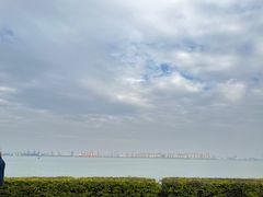 -海鸥岛