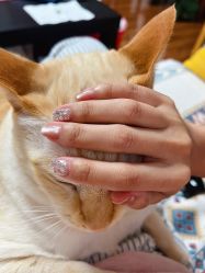 猫眼-赢韵美甲美睫瑞士净斑中心