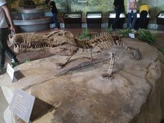 -自贡恐龙博物馆