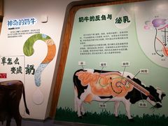 -君乐宝优致牧场