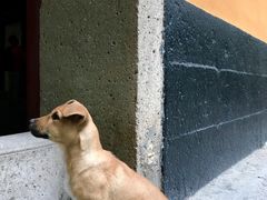 -普陀山风景名胜区-法雨禅寺