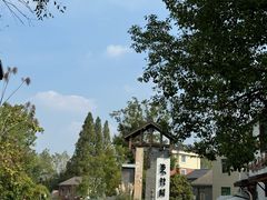 -东梓关景区村庄