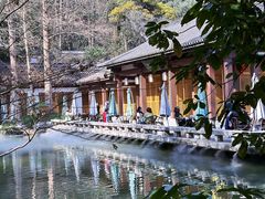 -杭州植物园