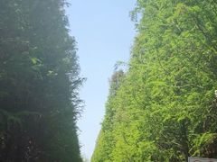 -洛龙公园