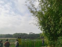 -东莞植物园
