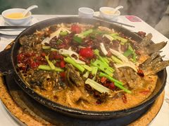 -老板恋上鱼(高新万达店)
