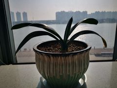-翠山·映月湖景餐厅(映月湖公园店)