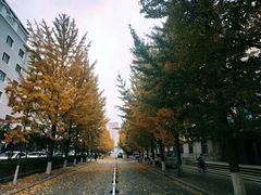 -东北大学(南湖校区)