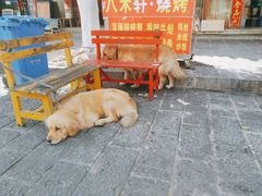 -八木轩·寻味大理白族民俗餐厅(文献路店)
