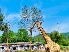 -大连森林动物园