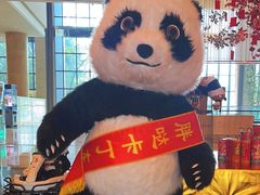 -成都保利公园皇冠假日酒店(熊猫基地店)