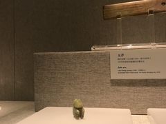 -河南自然博物馆