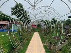 -洪湖家庭农场·团建·露营·会议