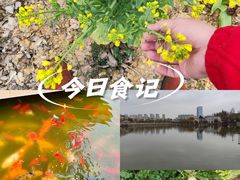 -呈贡滇池生态湿地公园