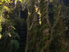 -梭布垭石林景区