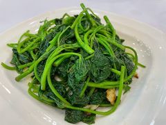 猪油渣炒菜心-勝記酒家·37年老字号·经典粤菜(荔枝公园店)