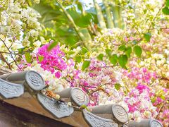 -深圳国际园林花卉博览园